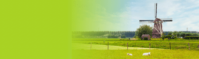 img Local Netherlands